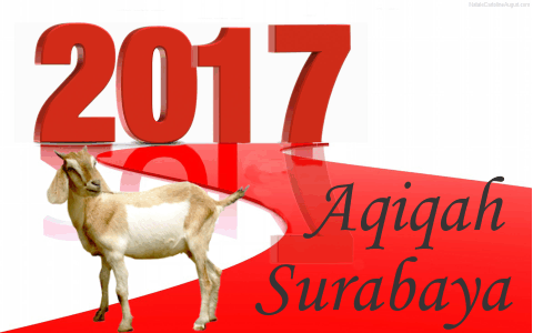 Aqiqah Surabaya 2017